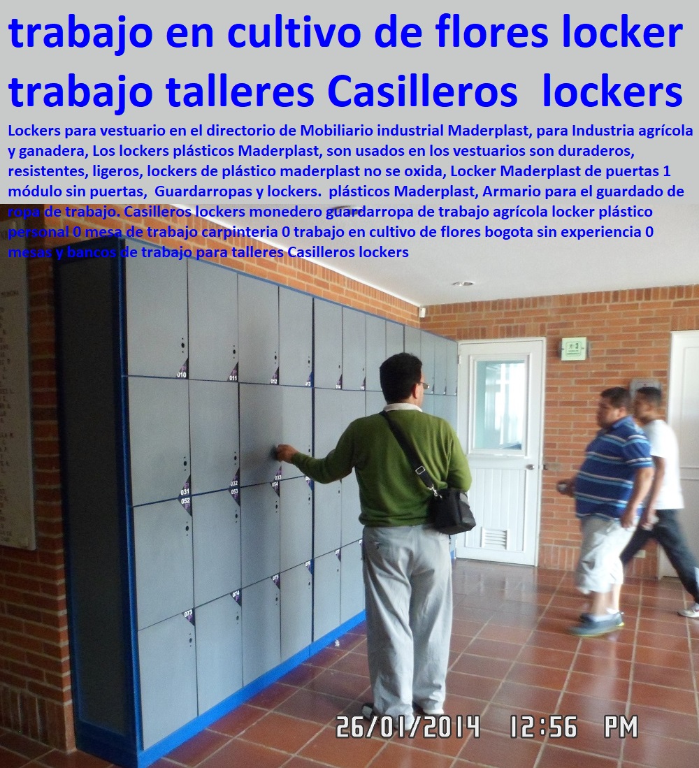 Casilleros lockers monedero guardarropa de trabajo agrícola locker plástico personal 0 mesa de trabajo carpinteria 0 trabajo en cultivo de flores bogota sin experiencia 0 mesas y bancos de trabajo para talleres Casilleros lockers CULTIVOS TECNIFICADOS, INVERNADEROS, Semilleros, Bancos De Siembra, Hidroponía, Agricultura, Cosecha, Poscosecha, Tutores Para Flores, Cable Vía Bananas Aromáticas, Casilleros lockers monedero guardarropa de trabajo agrícola locker plástico personal 0 mesa de trabajo carpinteria 0 trabajo en cultivo de flores bogota sin experiencia 0 mesas y bancos de trabajo para talleres Casilleros lockers